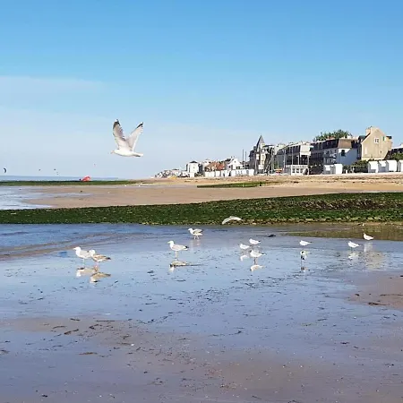 Maison Renovee, Face A La Mer, Cablee Fibre Optique Vakantiehuis